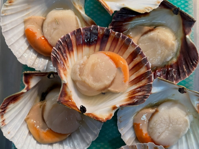 Fresh scallops at Bacaro in Liverpool.