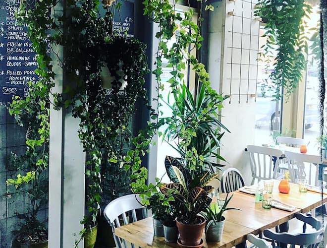 The leafy interior at Street Urchin Restaurant, Manchester