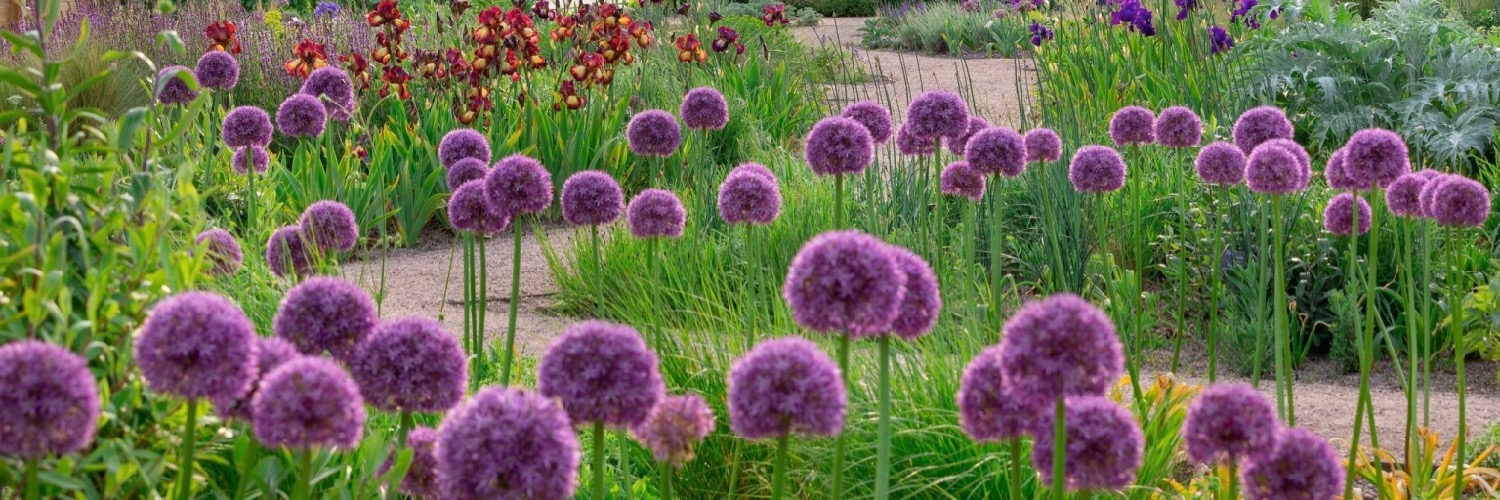 RHS Garden Bridgewater in Worsley, Greater Manchester