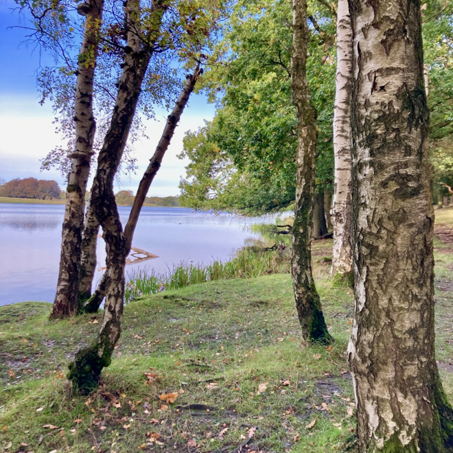 Tatton Park - a recommended place for a walk near Manchester