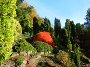 The gardens at Fletcher Moss in the sunshine