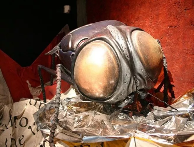 The Bug House at Liverpool's World Museum