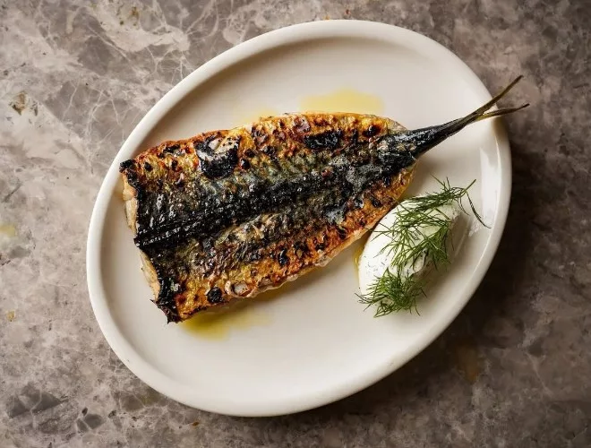 Grilled mackerel and sour cream at Nord