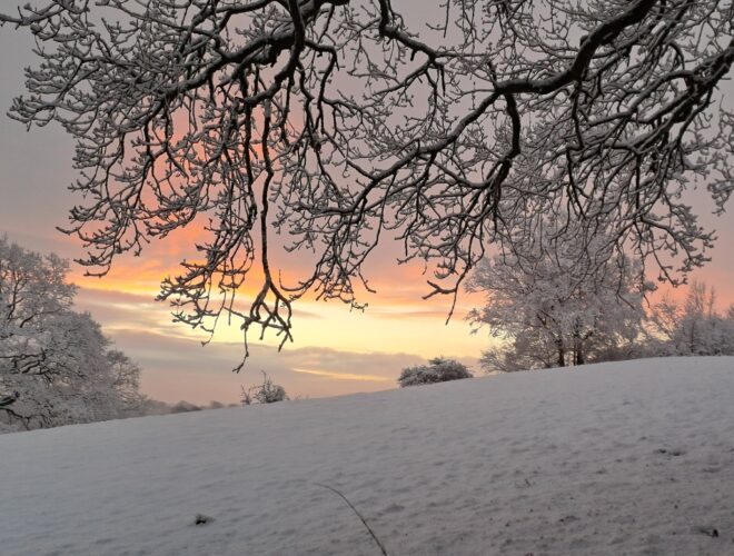 Sunset through snow-covered trees at Alderley Edge