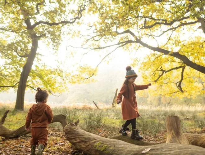 Children playing on a log at Dunham Massey