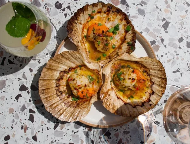Scallops at Caravan