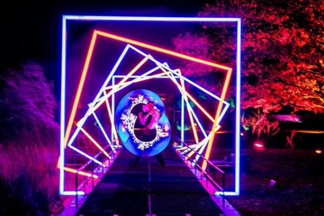 Squares of coloured lights illuminating RHS Bridgewater