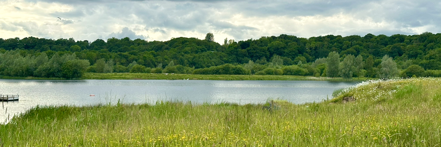 The lake and meadows at Brockholes Nature Reserve near Preston on a cloudy day.