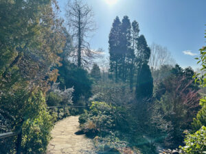 The botanic gardens at Fletcher Moss