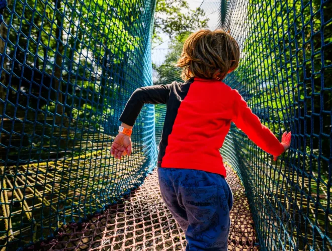 Zip World Manchester is one of Confidential Guides' recommended places for a children party.