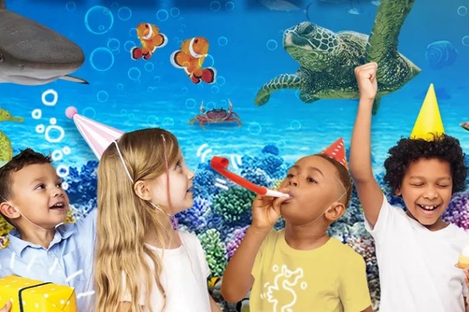 Sea Life Manchester is one of Confidential Guides' recommended party venues for children