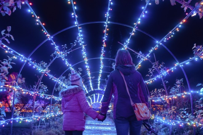 An illuminated trellis at Quarry Bank Mill's Enchanted Winter Walk