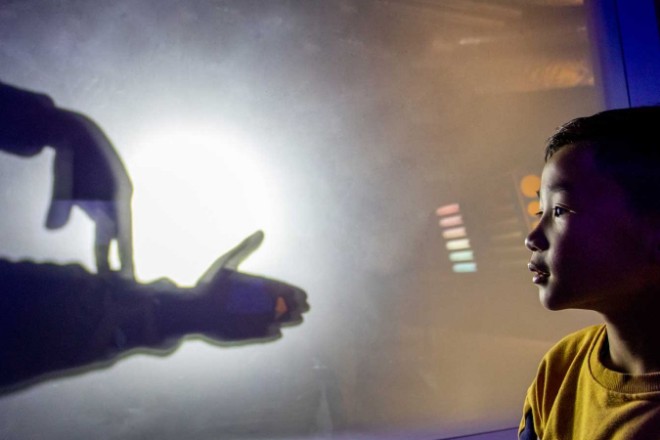 Shadowplay at the Science and Industry Museum's winter holiday programme