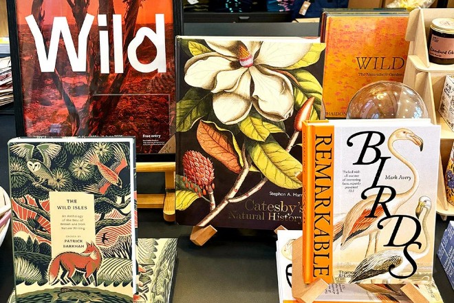 A selection of books from the gift shop at Manchester Museum