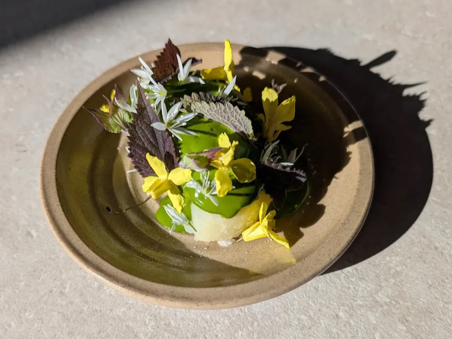 A dish strewn with flowers and leaves at Where The Light Gets In.