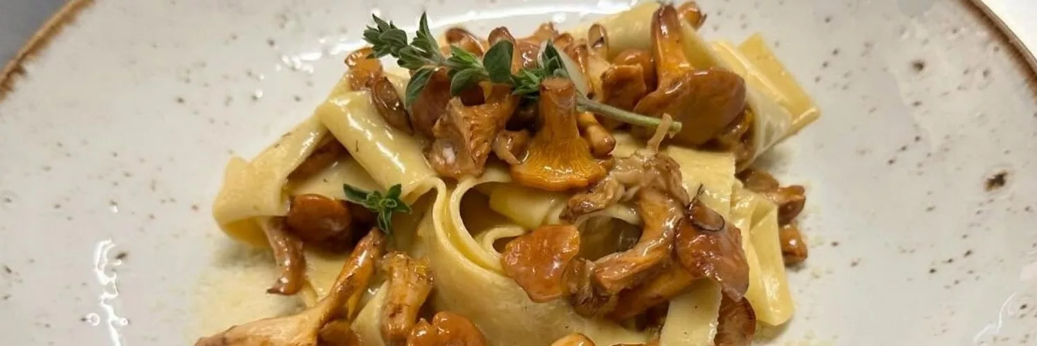 Chanterelles and pappardelle at The Sparrows