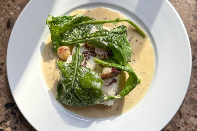 Halibut, turnip and dulse at Higher Ground