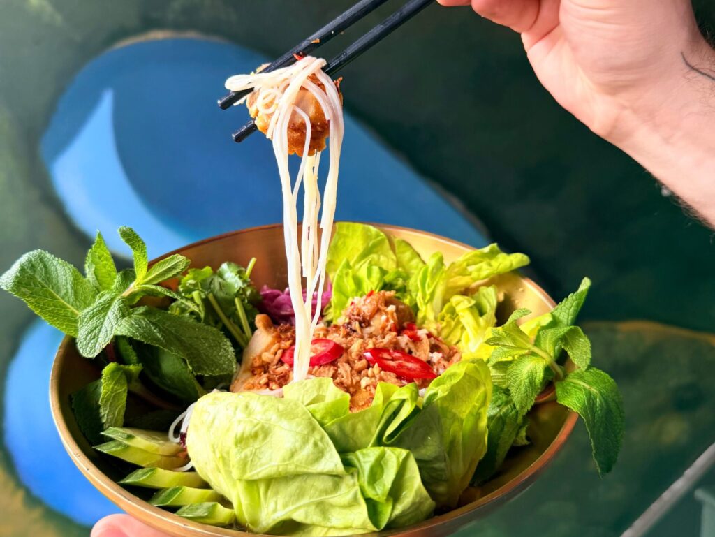 Chicken-Noodle-Salad-chopstix