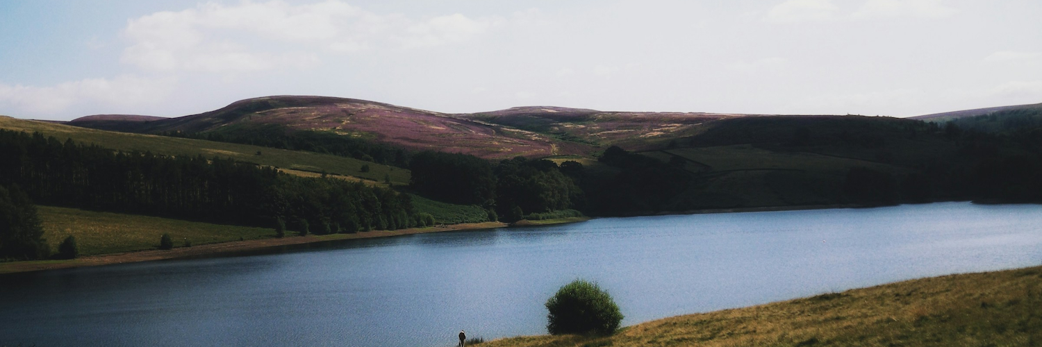 Errwood Reservoir with heather-covered moors.