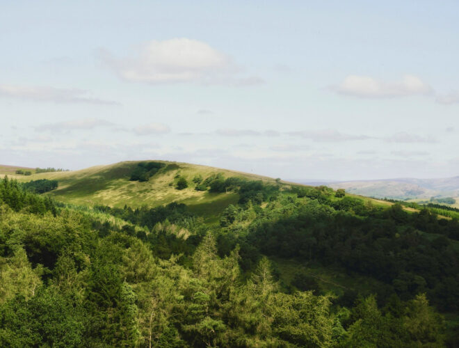 A wooded hillside in the Goyt Valley.