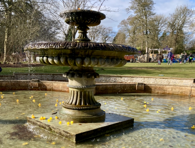 The fountain with rubber ducks in the pool at Thornbridge Hall in Derbyshire.