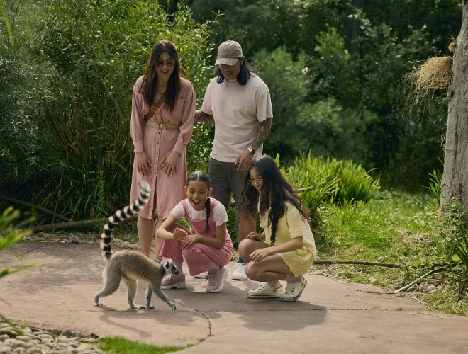 A family with a lemur at Chester Zoo