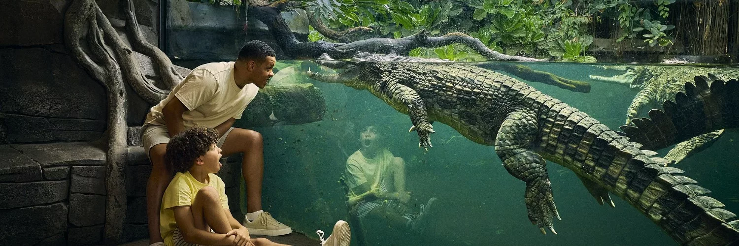 A father and son looking at a crocodile at Chester Zoo