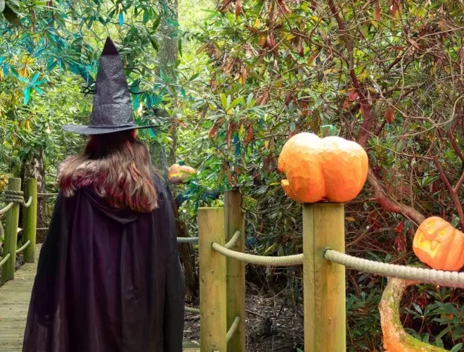 A witch walking through the trees at BeWILDerwood