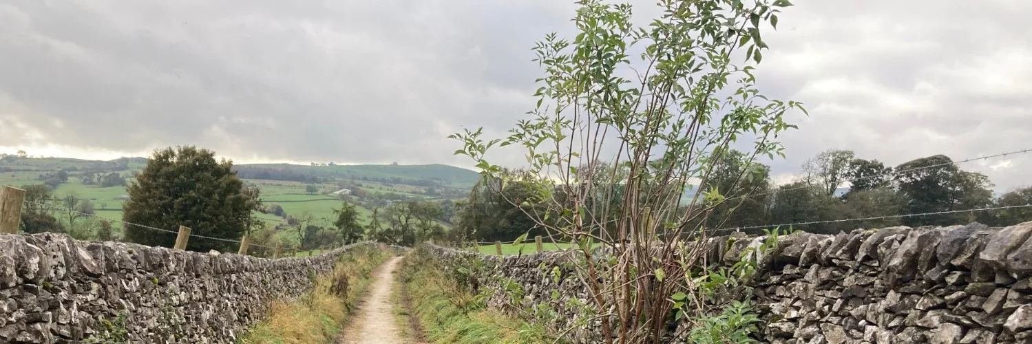 Path with dry stone walls and distant hills